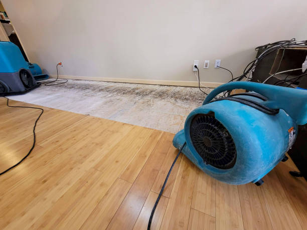 Professional Sewage Cleanup technician working in Trenton, TX